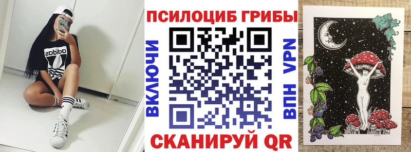 MEGA ССЫЛКА  купить наркотик  Волоколамск  Псилоцибиновые грибы Magic Shrooms 